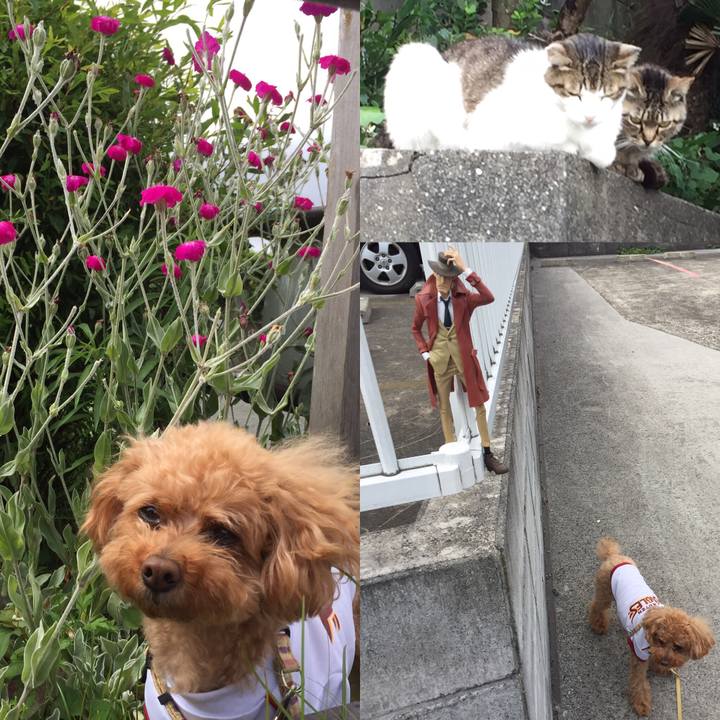 8ae6315c 9067 4ba7 b478 4c10f8cd901f