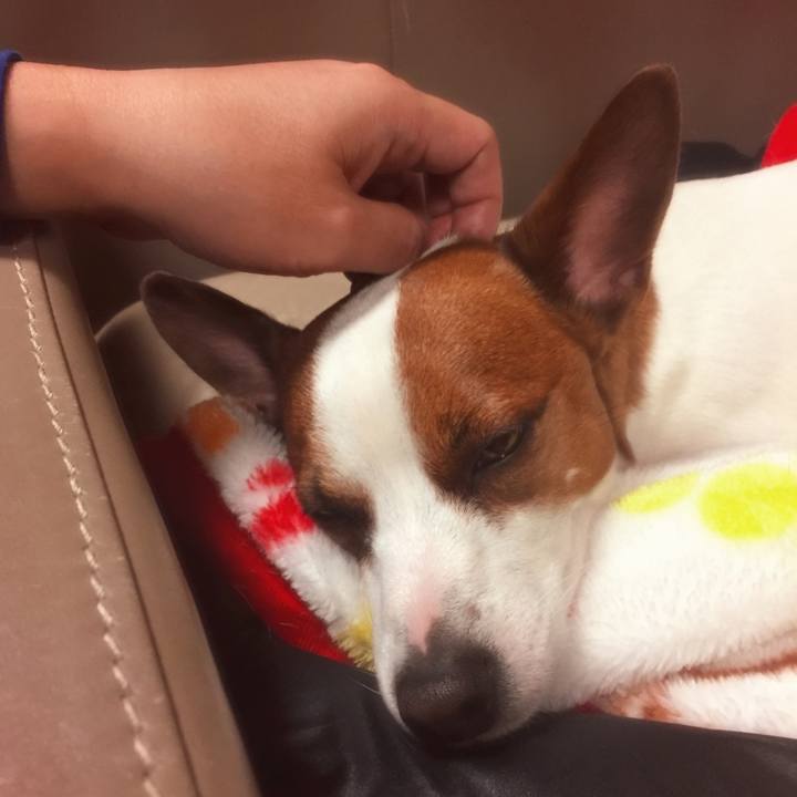 8ae675f9 c791 4866 839e 2691f345983d