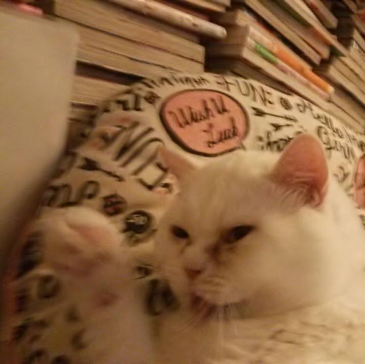 8ae6e78d 4a71 47d5 a9a7 49c68dc2a8b6