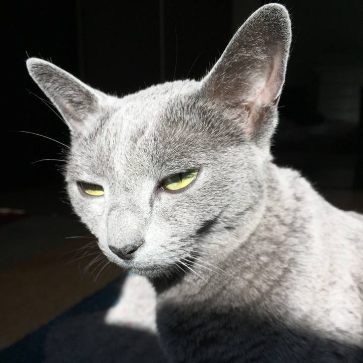 8ae749d8 7c30 483a 909b 3105ed3ff4d5