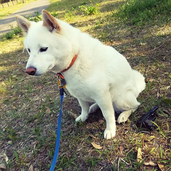 8ae77e73 7b6f 43ea 8b11 1813605a48d8