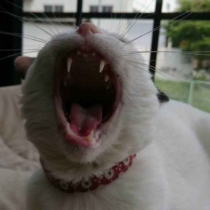 8ae783ab df2a 4621 8c0f 8958101e8069