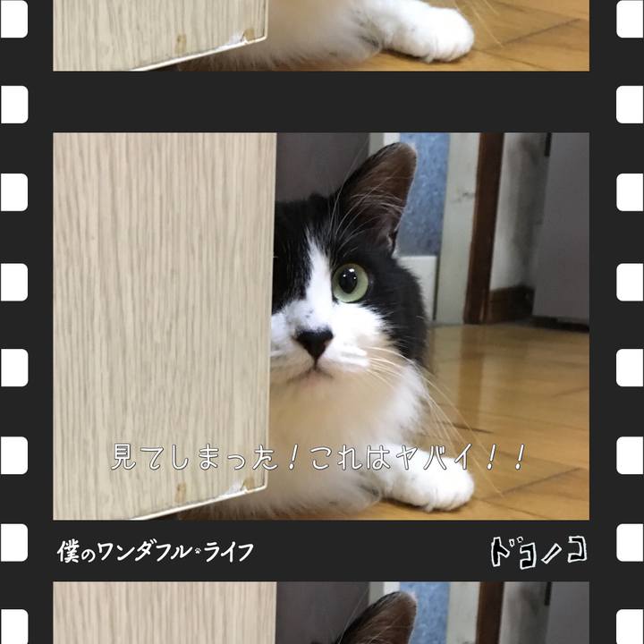 8ae7e0e6 b549 4d2b b3bc 2d43efe6c67e