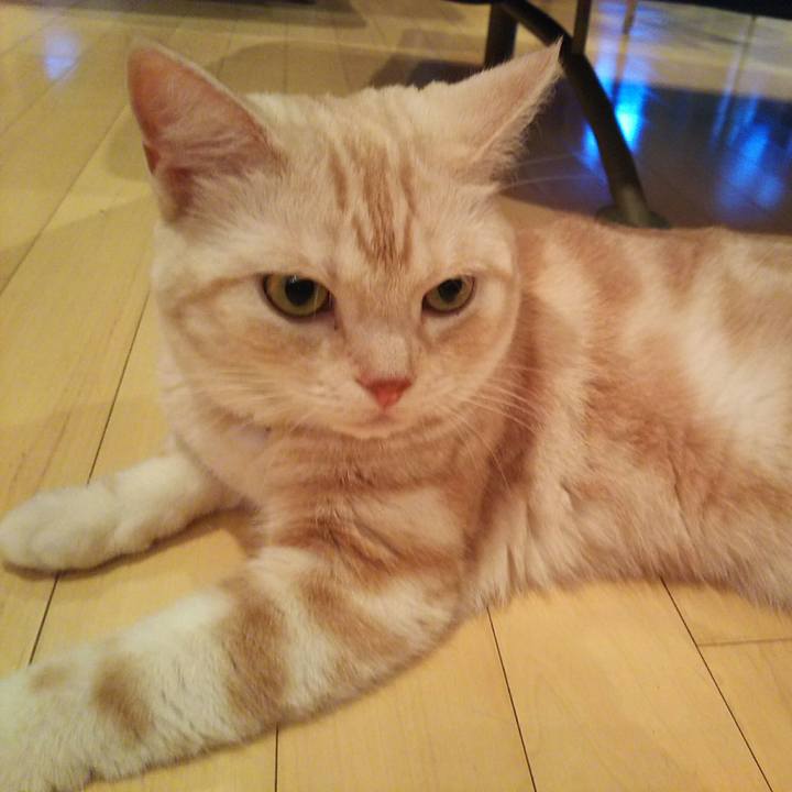 8ae7ed4c cab1 4db1 8fbe 8282ef76a592