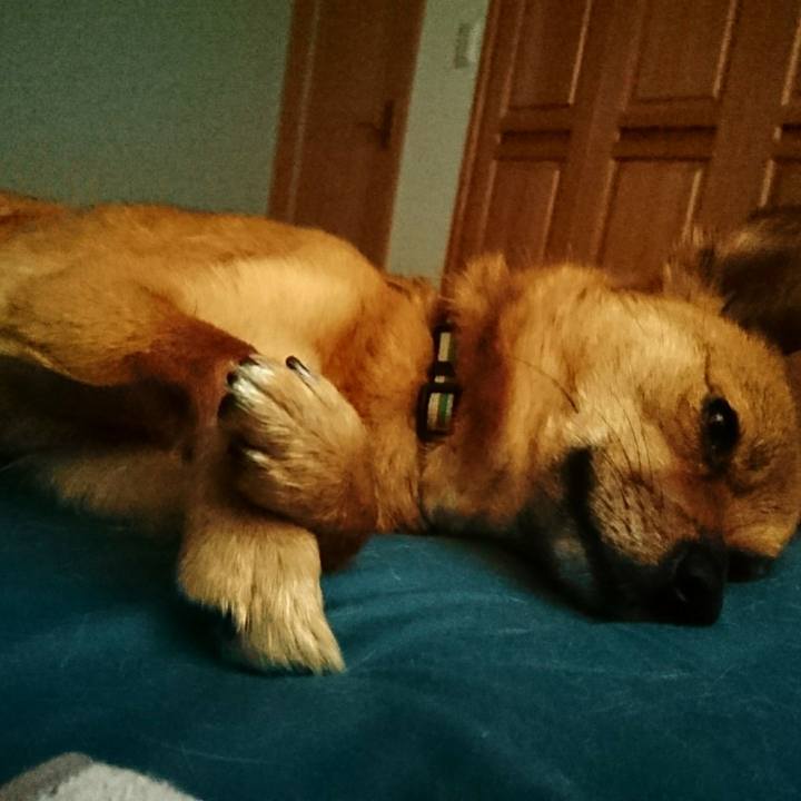 8ae7f4ab f04b 4a2f 9c8b 73e100031ae9