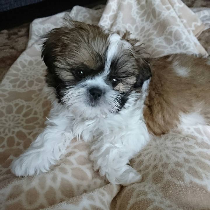 8ae7fdbc 7a8e 46e2 b29d 893825666c51