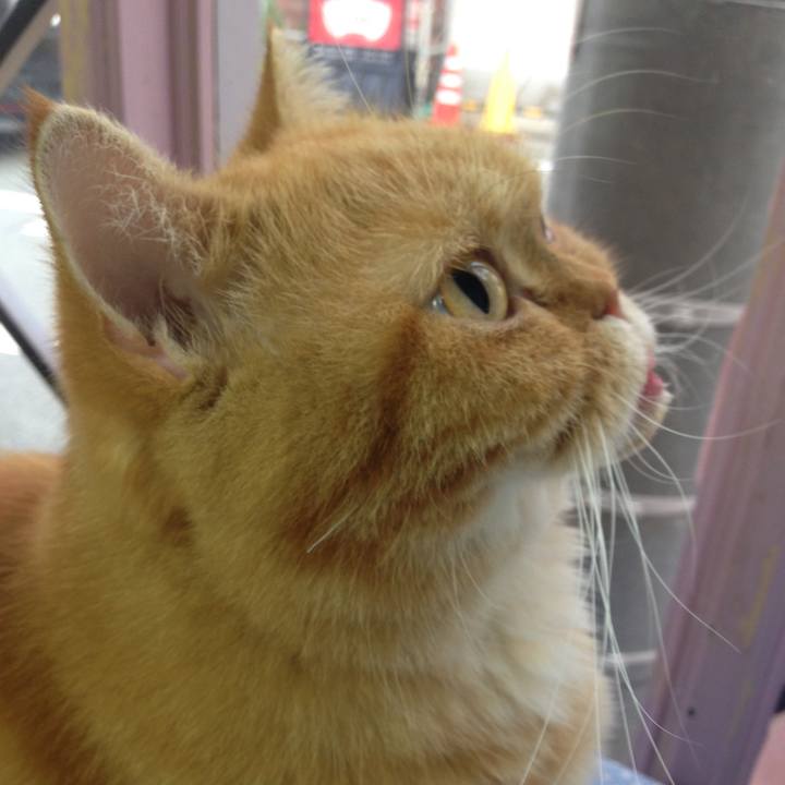 8ae899ed c2b1 447a ab4d 1efc0e68d5d1