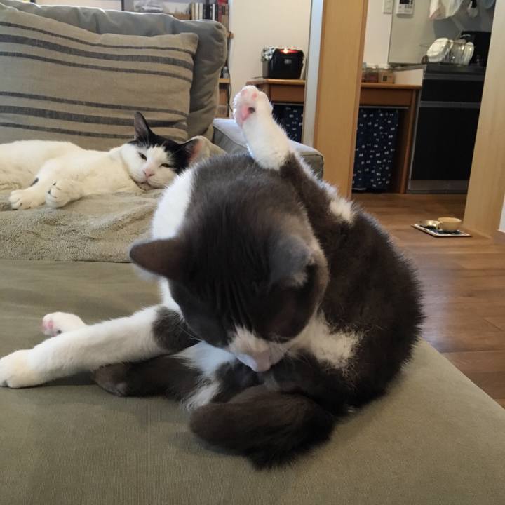 8ae9045d e067 4ed7 827a 75f709849553