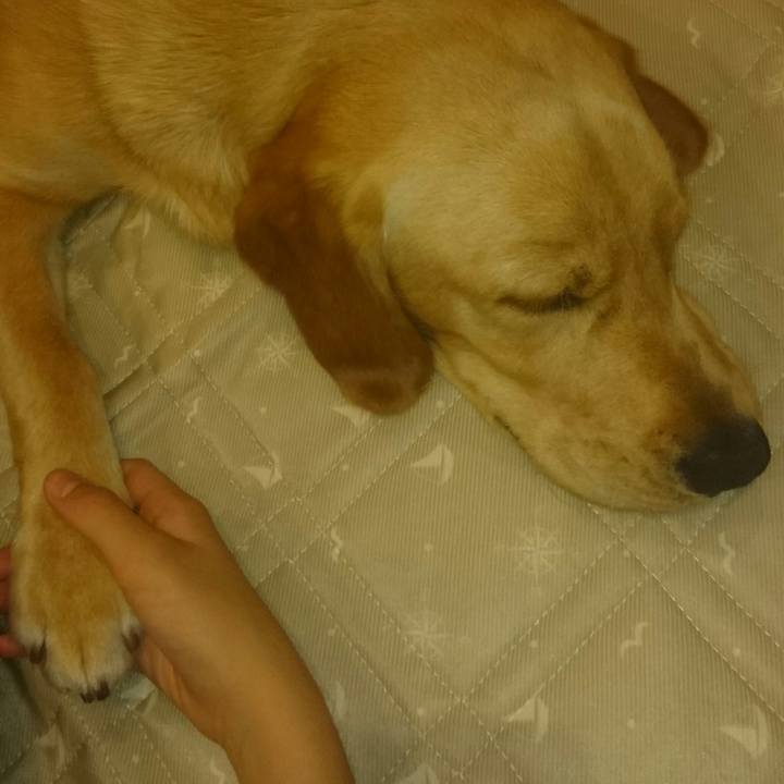 8ae90908 e04c 4d51 bfa0 ea92df8676b9