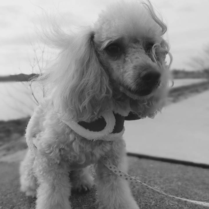 8ae91971 c919 4682 a273 8edbd1147c75