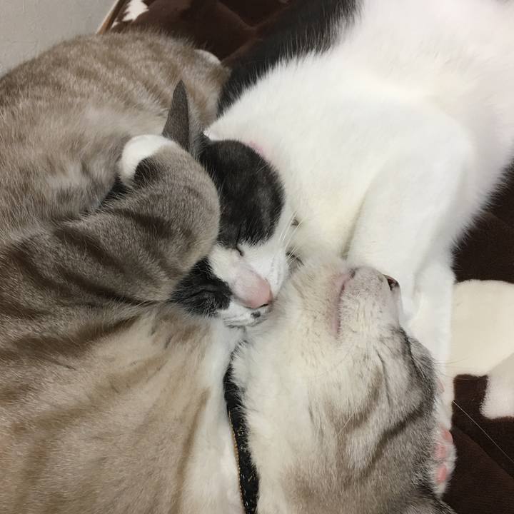 8ae9372d dd7f 494b 9960 82d04f32b5d4