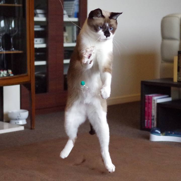 8ae94c70 310f 4b28 81e7 bbaf8dffb376