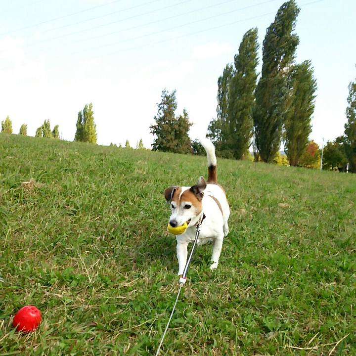 8aea4304 bb38 40dc add9 cf98bcfe938e