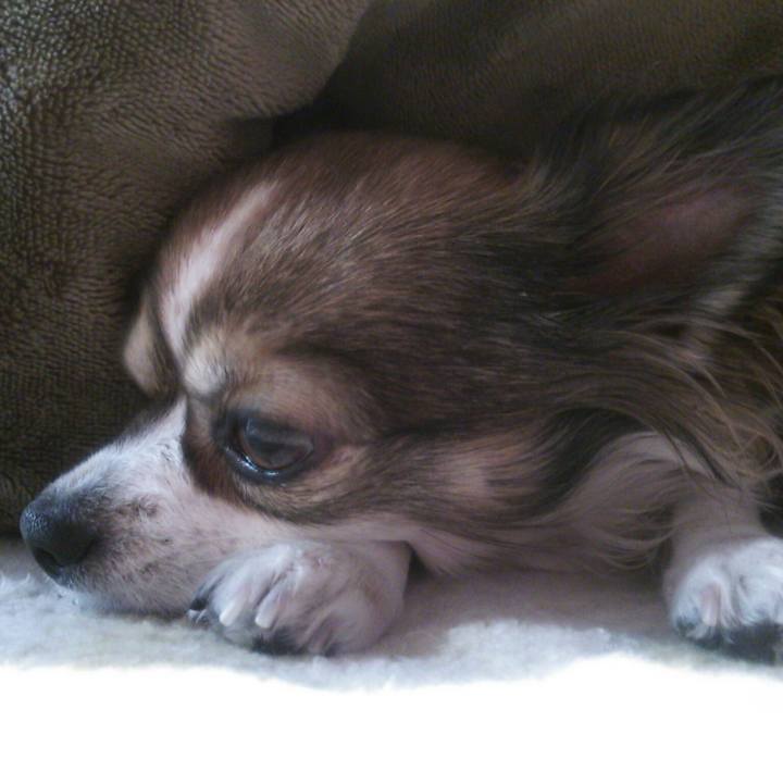 8aea8e73 939b 46fb 9a08 a2f823415329