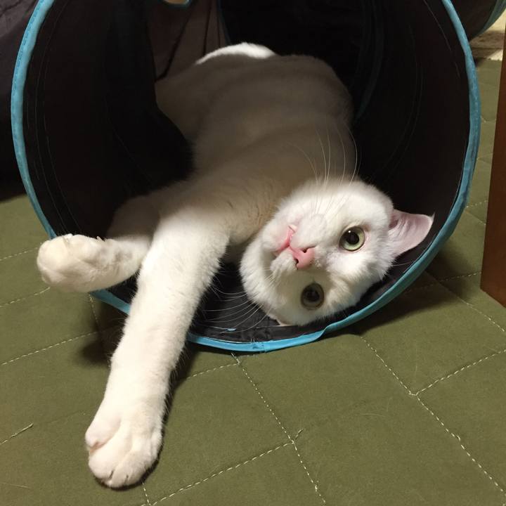 8aeab4e0 bc53 4527 a540 3941ab3bb7cf