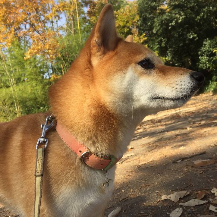 8aead71d 5816 4dc0 a7cc 7aa49287ec0a