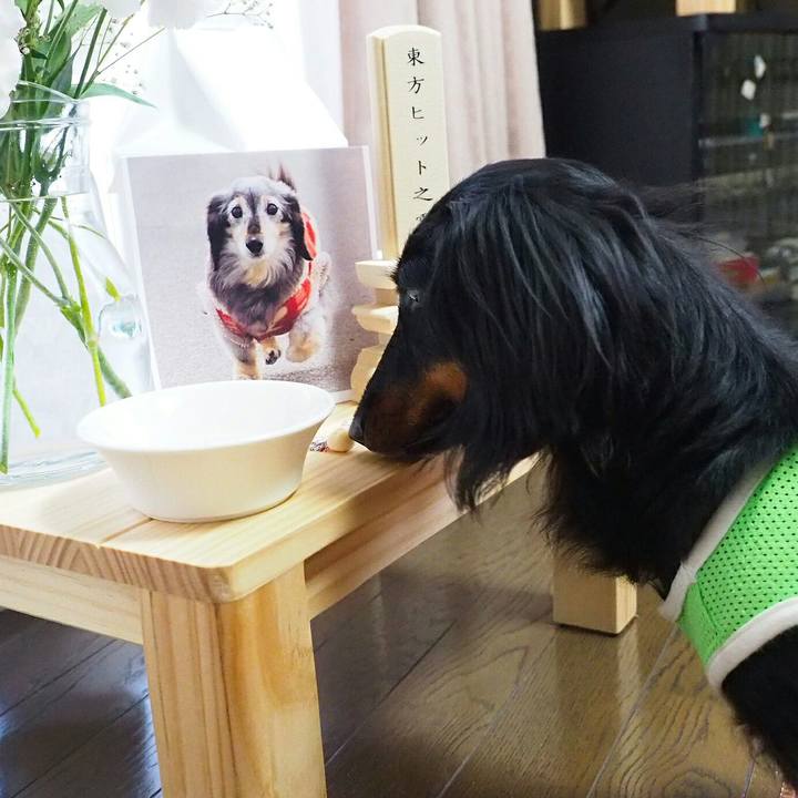 8aeb12e6 d580 4469 a2b3 99444b0fe0f6