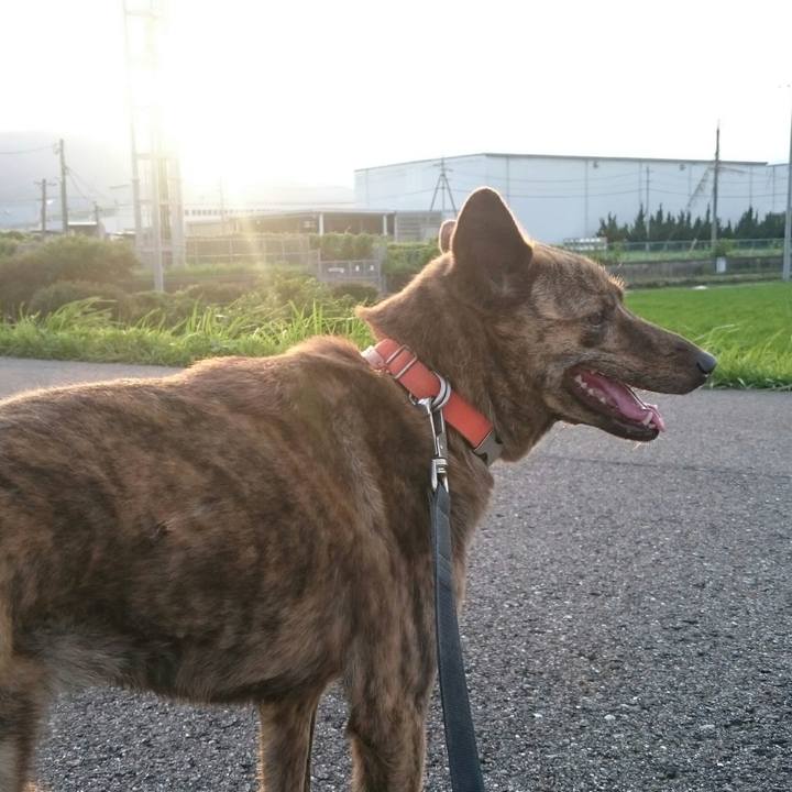 8aeb7b0e 7410 4578 bb69 65f1fbb57d1d