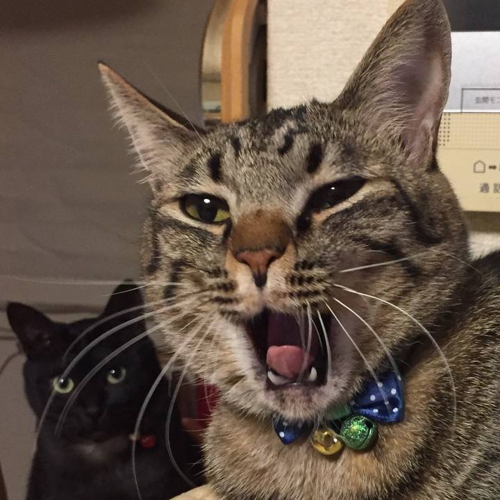 8aeb8822 85ac 4ab7 9a4d a3315895b667