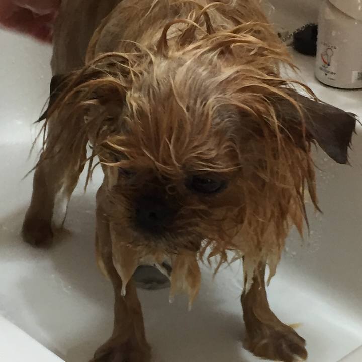 8aebffa9 3682 4e49 b21a f4a3e4096e9e