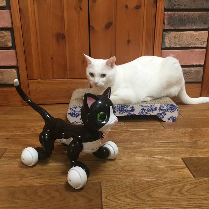 8aec4f40 ea41 40ec 9943 fdba9bc0ddd2