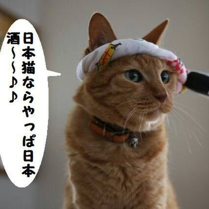 8aed6ae1 252d 4756 a93d 689ec7ae2c00