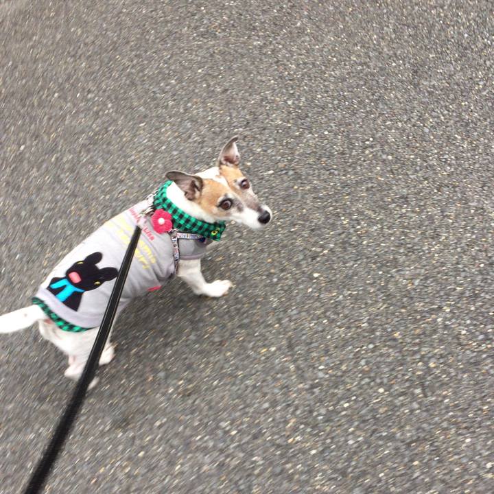 8aed6bd1 6c80 40c7 8087 3840b68b0592