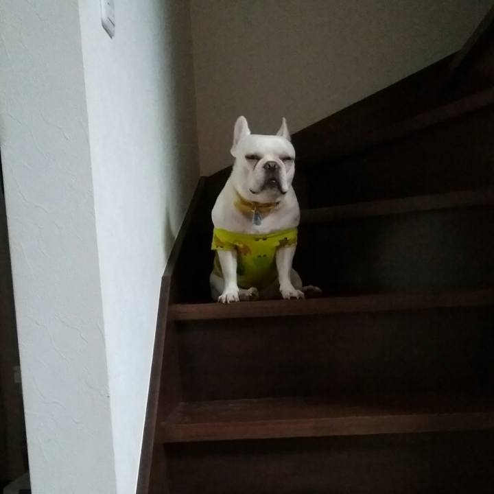 8aedd7e0 f009 47d4 bb8b c2993567220d