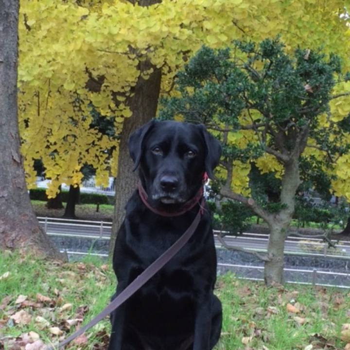 8aedfb68 7e74 4734 b448 9c72346764dd