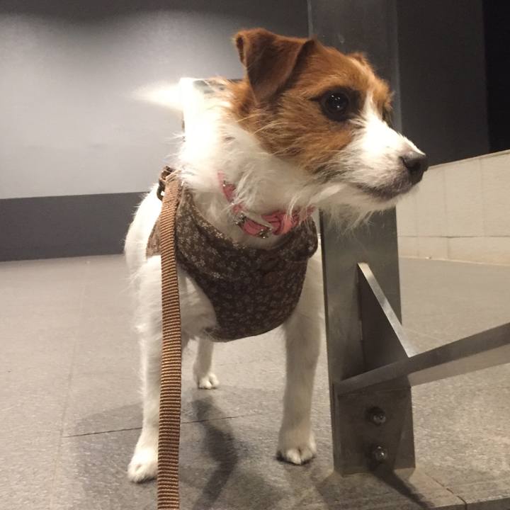 8aee0f94 a2e8 4f90 ace7 a058941cbdf2