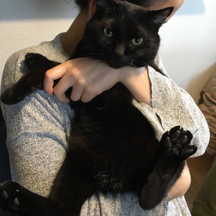 8aee5f48 359b 4279 9d8e cb6eec14bfe8