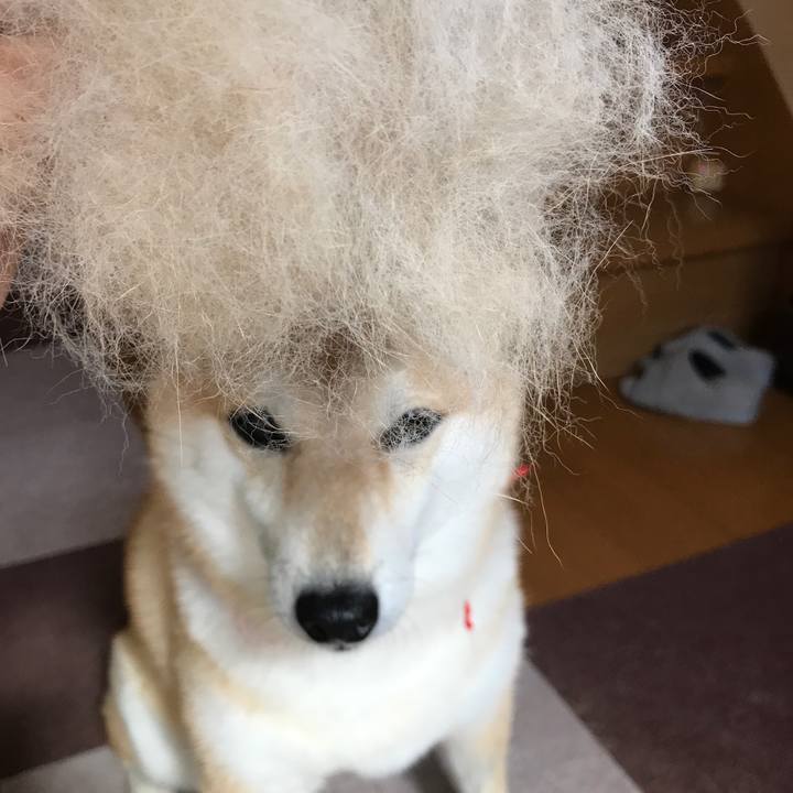 8aef0260 522d 4bfd b53d 7f0e2dc0bec4