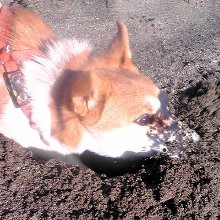 8aef05dc a3bd 48ff a25a 2b0be9092f0e