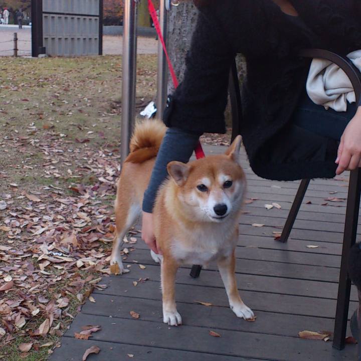 8aef2688 ee80 439d b658 15eaf9891abd