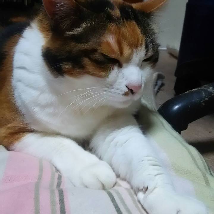 8aef42cf 5215 46b9 a142 f1fed212b1dd