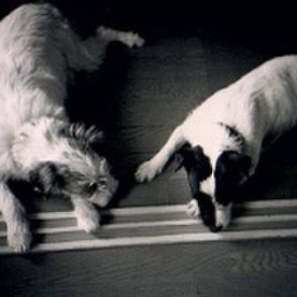 8aefb53a 9040 40c8 bda3 89da9165bded