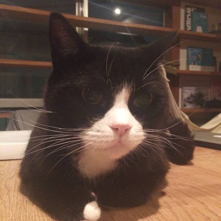 8aefbb5f 087f 4d35 925c 861dfafd4f39