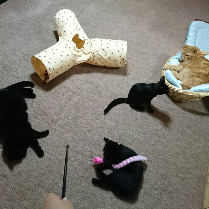 8aefe0de 3d1e 4042 917e a186a5676da9