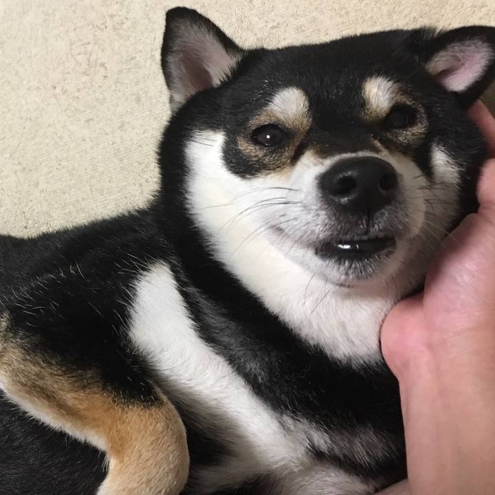 8af01bd5 bd06 49dc a9da a3077e0436fb