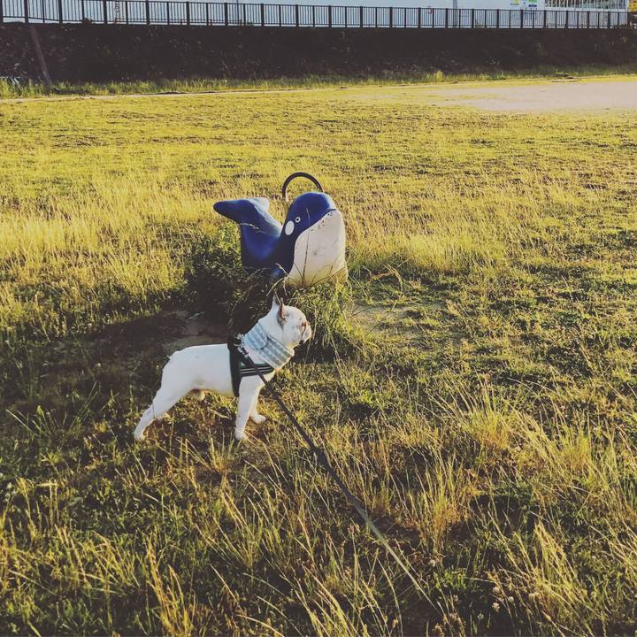 8af03b39 7f2a 4540 b717 fbcabf94be03