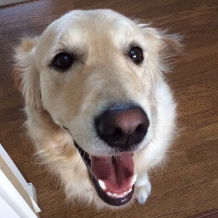 8af0451c a833 494a a732 3d632b2df63d