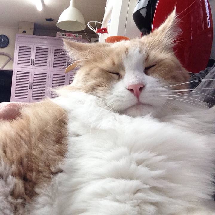 8af050b7 bcde 4d50 8850 cb0c6492d3c1