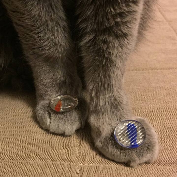 8af07cee 7f6f 47a0 9f84 7326cc542c51