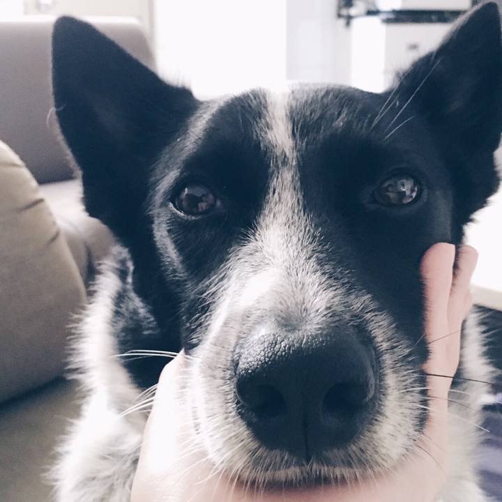 8af0b226 ef2f 49aa 979f 1a25ce4f283a