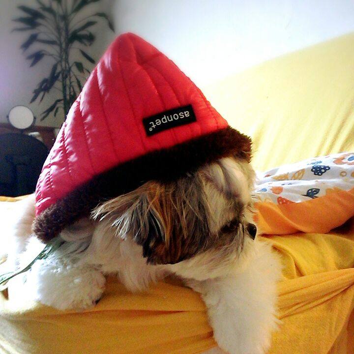 8af183fb ba7e 49e1 a41c ea6543950091