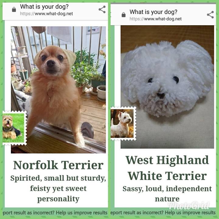 8af188c3 a8df 4bf0 ab35 2c5717dabfb7