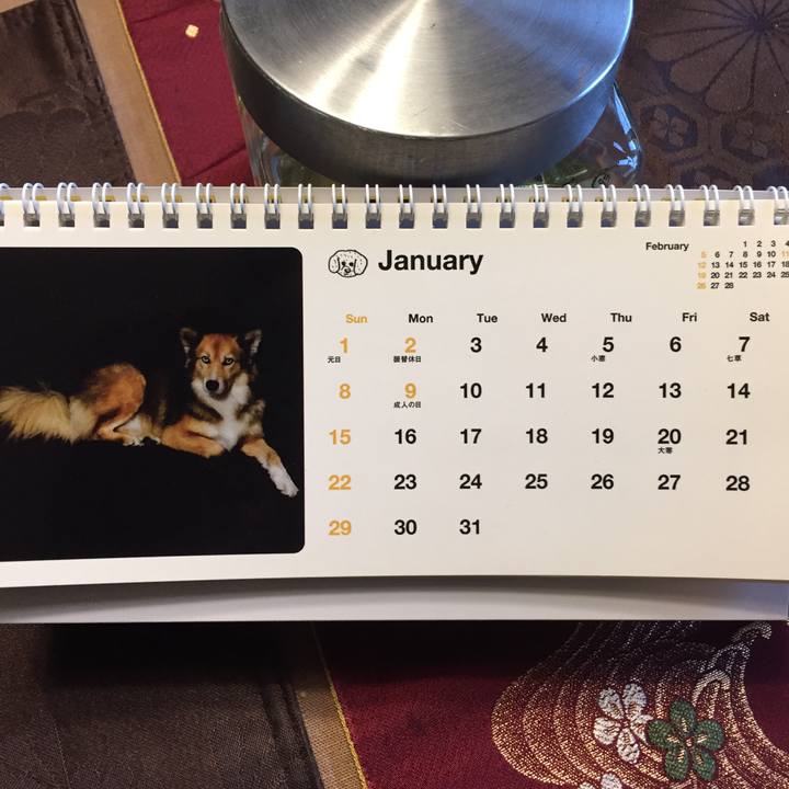 8af288b8 a772 4501 ba45 2757a1ce1a2d