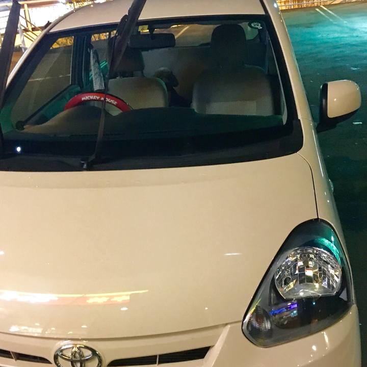 8af2d9f3 6e5a 404f 8e04 a8d86c7f9392