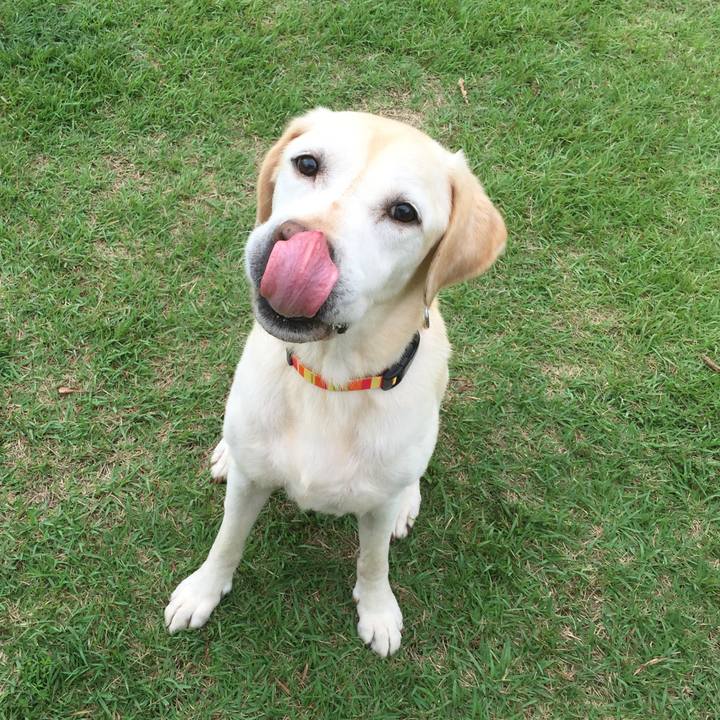 8af2ff11 81f5 4538 86d7 df33ea1399f8