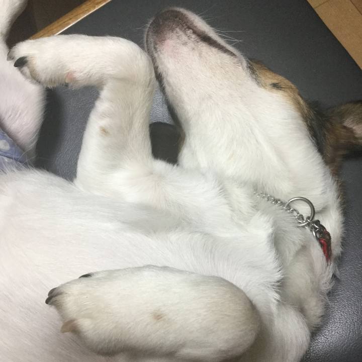 8af3a8ea 1937 44b0 9adc d079342154ef